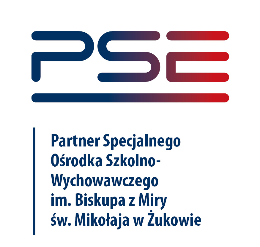 PSE PArtner logo